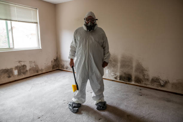 Environmental Consulting for Mold Prevention in Crete, NE